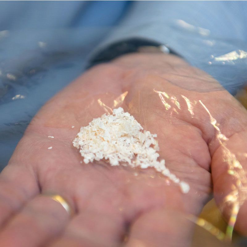 A hand holding a small pile of white, granular material on a sheet of transparent plastic.