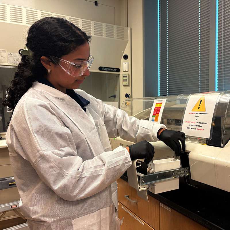 A researcher loading or adjusting tissue samples on a histology processing instrument at a laboratory workstation.