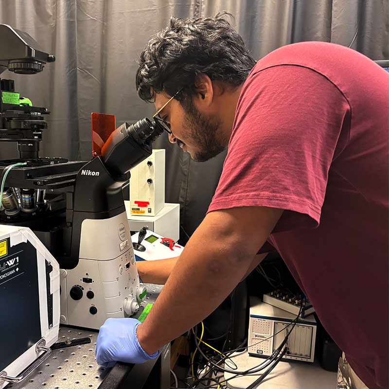 A researcher using an optical microscope at a laboratory workstation, adjusting controls while wearing gloves.