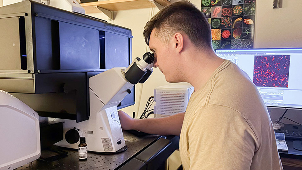 A researcher looking through an optical microscope at a lab workstation.