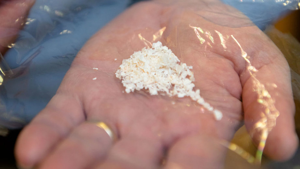 A hand holding a small pile of white, granular material on a sheet of transparent plastic.