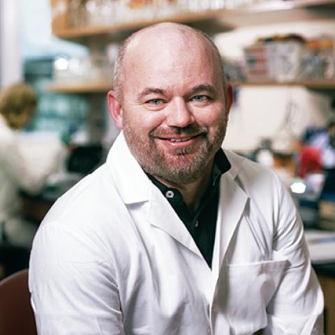 Marvin Whiteley's profile picture