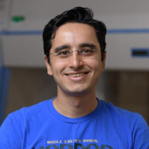 Saad Bhamla's profile picture